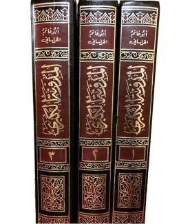 المدونة الكبرى